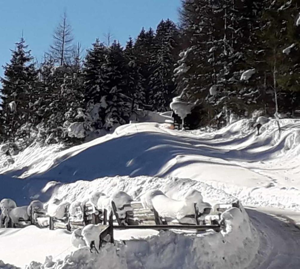 Apartment Jasmin Neustift im Stubaital Bagian luar foto