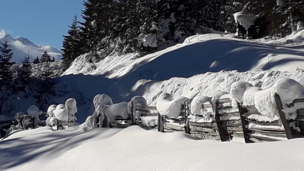 Apartment Jasmin Neustift im Stubaital Bagian luar foto